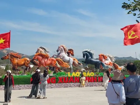 Người dân đổ xô check-in đàn ngựa oai phong gây sốt ở Quảng Trị