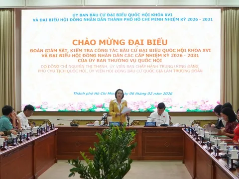 Xem danh sách 208 người ứng cử đại biểu HĐND TPHCM nhiệm kỳ 2026 - 2031