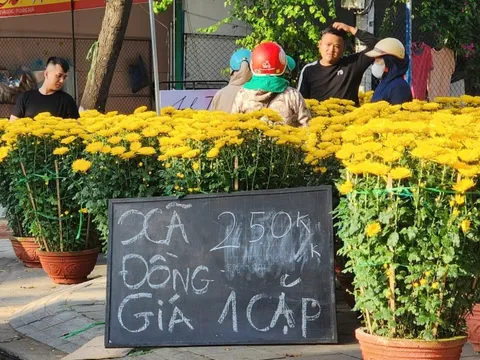 Sức mua yếu, chợ hoa Tết Quảng Ngãi ế ẩm, tiểu thương đồng loạt xả hàng chiều 29 tháng chạp