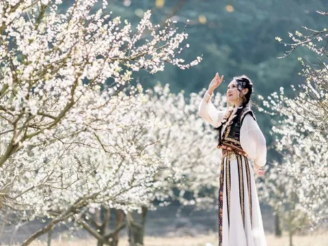 Khách đổ về Mộc Châu cao điểm mùng 4-5 Tết, phòng đẹp kín chỗ từ sớm