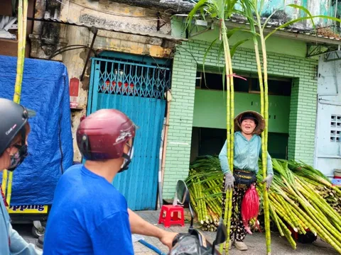 Mía vàng 120.000 đồng/cặp vẫn 'cháy hàng' trước ngày vía Ngọc Hoàng