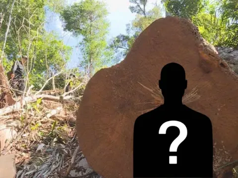 Ra lệnh bắt tạm giam Giám đốc công ty Nguyễn Văn Tiến