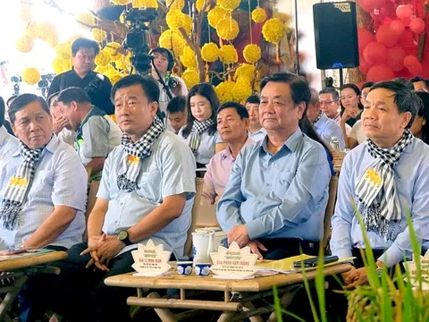 Giữa ruộng hoa bàn chuyện người 'nông dân chuyên nghiệp'