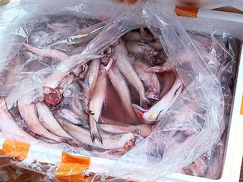 Bộ Nông nghiệp và Môi trường trả lời cử tri TP.HCM về giải pháp ngăn thực phẩm bẩn, dùng chất cấm