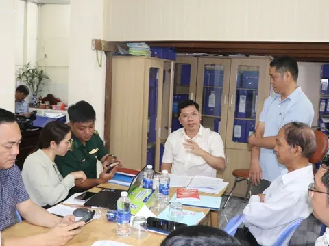 Phó Chủ tịch UBND TPHCM Hoàng Nguyên Dinh kiểm tra cảng cá