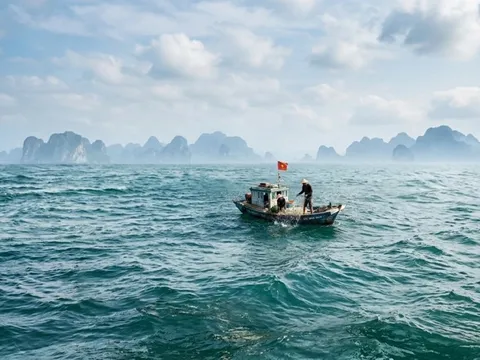 Tàu cá cùng 2 ngư dân bỗng dưng mất tích trên biển Sơn Trà