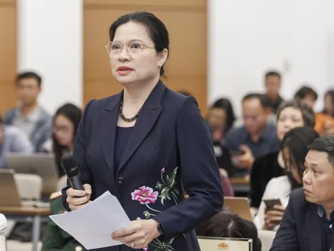 5 người tự ứng cử đại biểu Quốc hội khóa XVI là những ai?