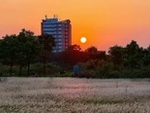 Đồng cỏ thơ mộng tại làng đại học hút khách 'săn' hoàng hôn, check-in