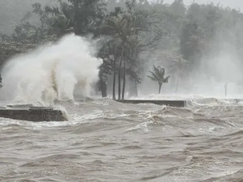 Giám đốc dự báo thời tiết áp lực vì bị nói ‘không chính xác bằng TikToker’