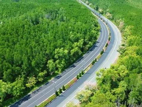 Một tuyến đường đang "đốn tim" giới trẻ TPHCM