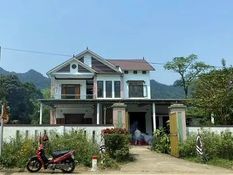 Vụ con rể bắn mẹ vợ, tài xế taxi tử vong: Bố vợ thoát chết dù trúng đạn vào đầu