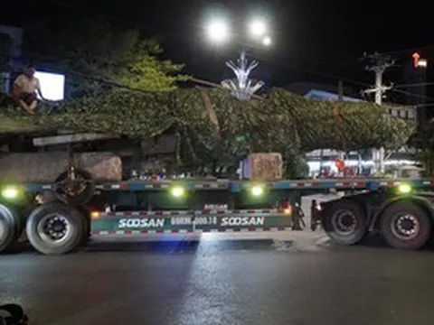 Di dời chiếc máy bay MiG-21 bị "bỏ quên" hơn 40 năm ở Cà Mau