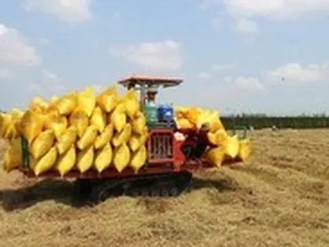 Nông dân miền Tây xoay xở với chi phí tăng