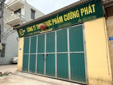 Camera giăng kín 'căn bếp' cung cấp thịt lợn nhiễm bệnh vào trường học ở Hà Nội