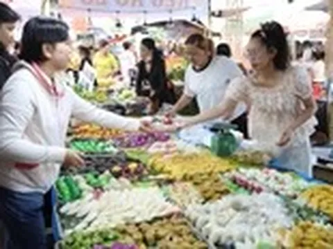 Lễ hội bánh dân gian Nam Bộ 2026 có bản đồ Việt Nam làm từ xôi nặng 700kg, với 34 màu sắc