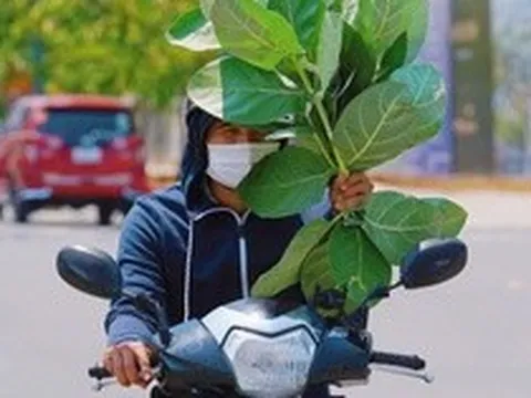 Nam Bộ hứng nắng nóng gay gắt trong tháng 4, có nơi chạm ngưỡng 39°C