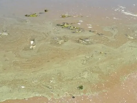 Clip nước biển Bãi Sau Vũng Tàu xanh như matcha, nhiều người e dè không dám tắm