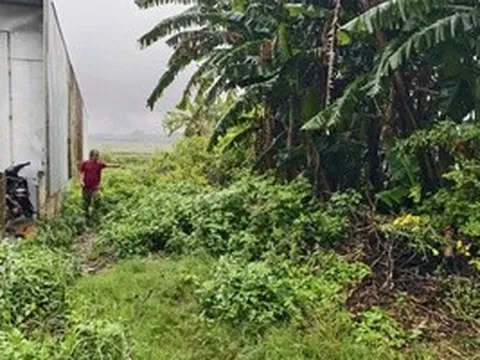 Yêu cầu xã giải quyết vụ lô đất trúng đấu giá 18 năm không có trên thực địa