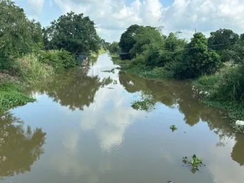 Hai trẻ nhỏ chới với rồi bị nước nhấn chìm, mất tích trên sông