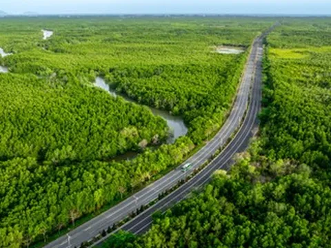 Toàn cảnh con đường xuyên rừng ngập mặn trước đề xuất mở rộng hơn 19.000 tỷ đồng