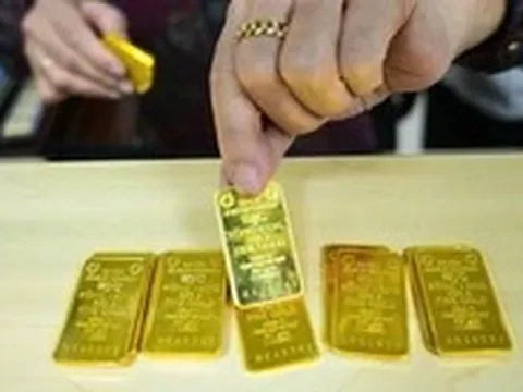 Vay 5.833 lượng vàng SJC từ lúc chỉ 17 triệu/lượng, một công ty TP.HCM nay ‘vỡ trận’